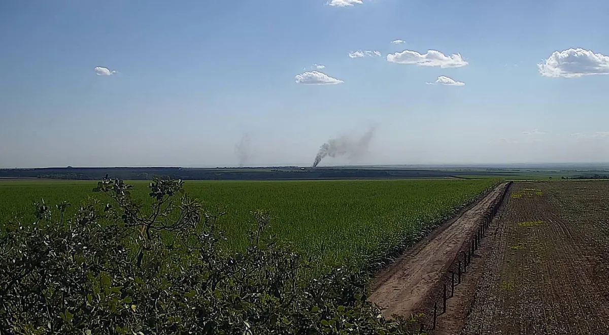 Coluna de fumaça fina no horizonte, sobre um canavial, marcada pela IA
